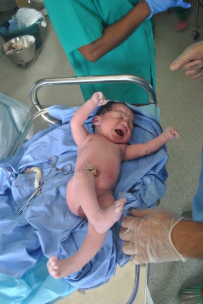 ../previews/014-madagascar 2013 209.JPG.medium.jpeg